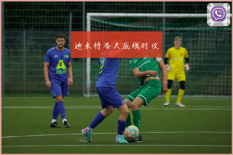 迪米特洛夫底线对攻