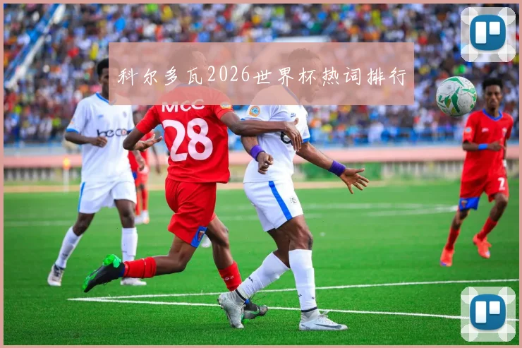 科尔多瓦2026世界杯热词排行