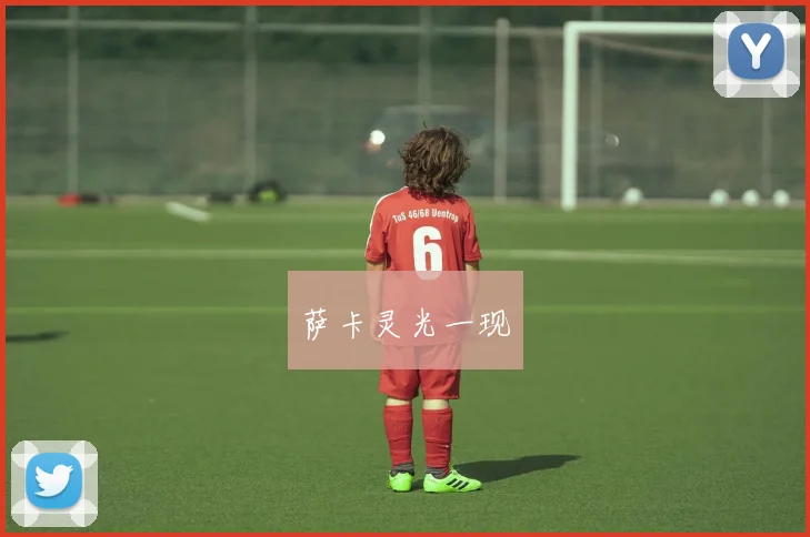 萨卡灵光一现