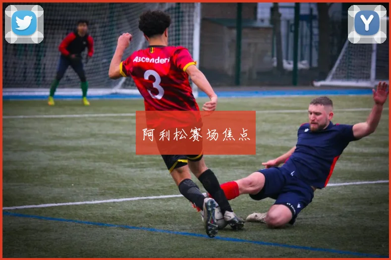 阿利松赛场焦点