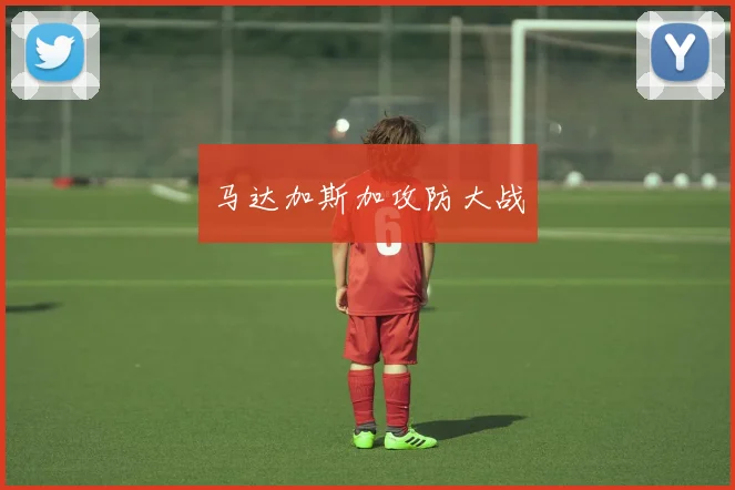马达加斯加攻防大战