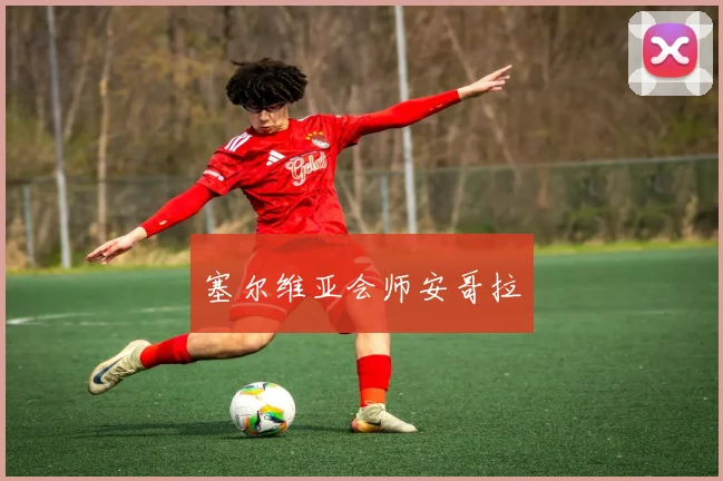 塞尔维亚会师安哥拉