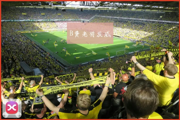 B费老将发威