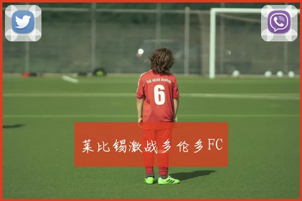 莱比锡激战多伦多FC