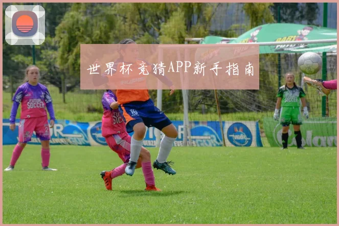 世界杯竞猜APP新手指南
