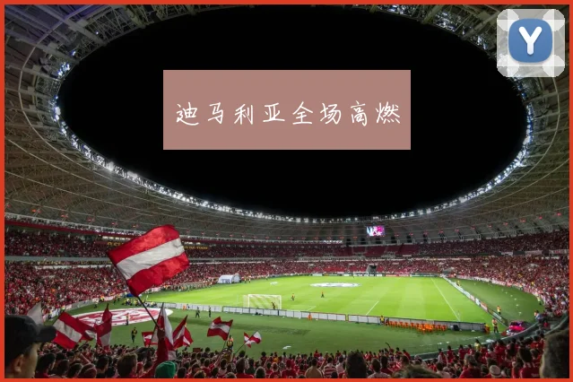 迪马利亚全场高燃