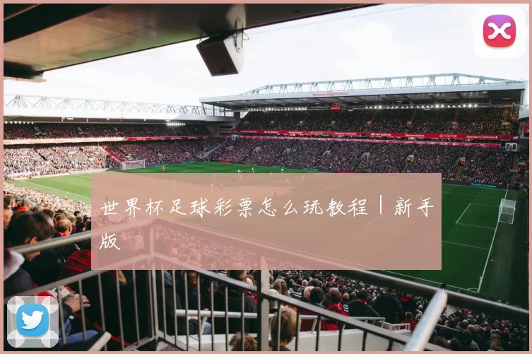 世界杯足球彩票怎么玩教程｜新手版