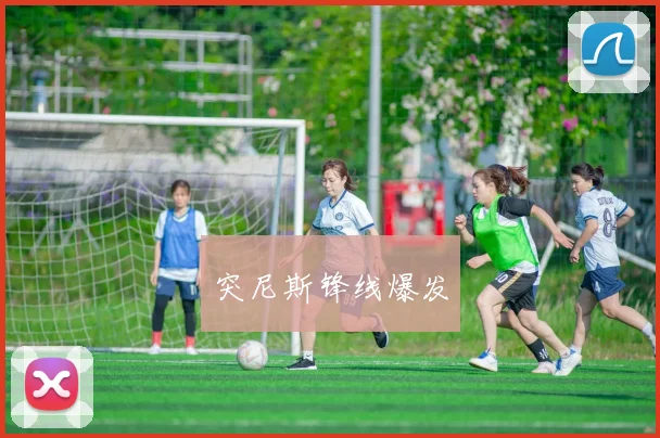 突尼斯锋线爆发