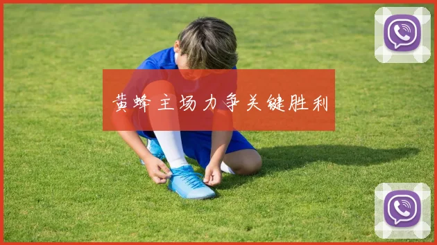 黄蜂主场力争关键胜利