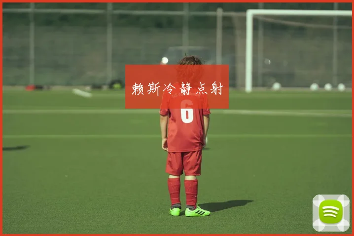 赖斯冷静点射