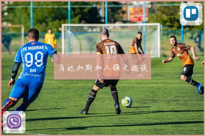 马达加斯加八强之战夜