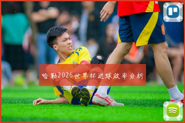 哈勒2026世界杯进球效率分析