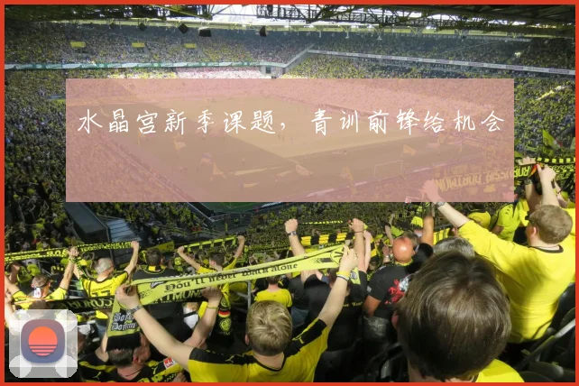 水晶宫新季课题,青训前锋给机会