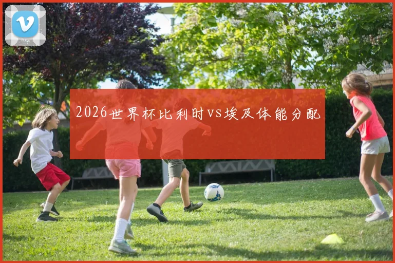 2026世界杯比利时vs埃及体能分配
