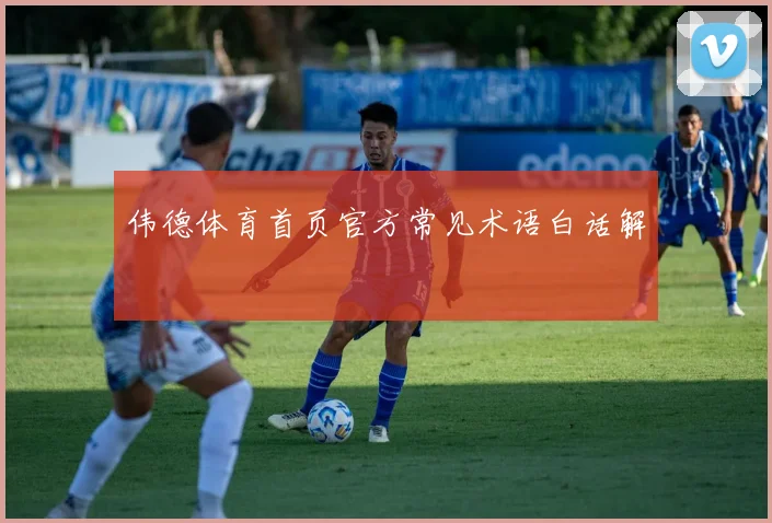 伟德体育首页官方常见术语白话解